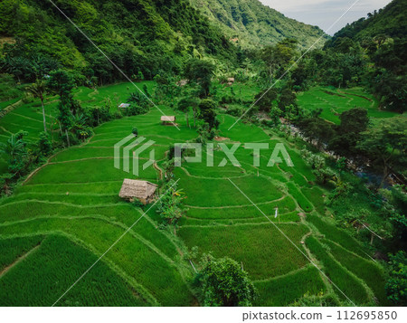 Aerial view of rice terraces in scenic valley on Bali. Mountain landscape with rice fields. Aerial view Aerial view of rice terraces in scenic valley on Bali. Mountain landscape with rice fields. Aerial view 112695850