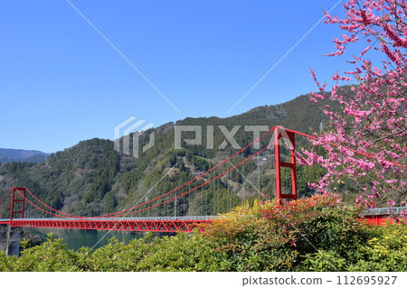 Landscape of Owatari Dam Ohashi Bridge, Spring (Kochi Prefecture, Niyodogawa Town, Owatari Dam Lakeside) 112695927