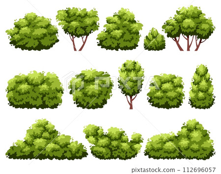 Cartoon bushes. Green plants, decorative garden hedge, flat shrubbery trees, deciduous forest elements, different shapes. Summer park plants. Outdoor decorate landscape. Vector isolated set 112696057