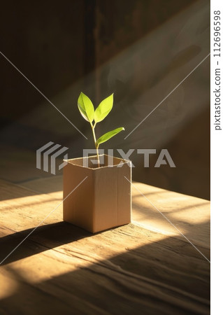 A young green plant in an eco-pot on the floor, a germinating seed in a craft paper pot 112696598