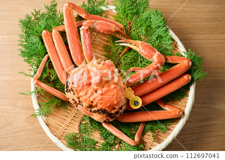Boiled Echizen crab from Fukui Prefecture Boiled Echizen crab from Fukui Prefecture 112697041