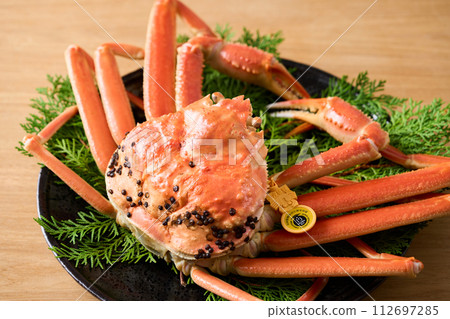 福井縣產越前蟹 112697285