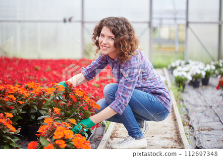 happy female nursery worker trimming plants in greenhouse happy female nursery worker trimming plants in greenhouse 112697348