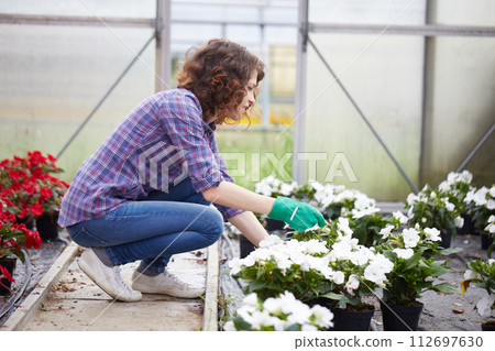 happy female nursery worker trimming plants in greenhouse 112697630