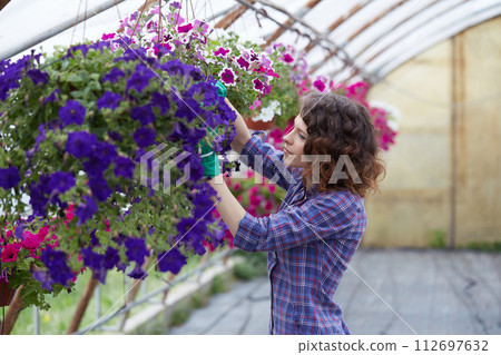 happy female nursery worker trimming plants in greenhouse happy female nursery worker trimming plants in greenhouse 112697632