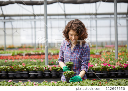 happy female nursery worker trimming plants in greenhouse 112697650