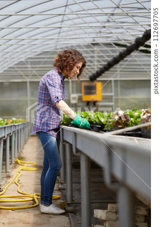 happy female nursery worker trimming plants in greenhouse 112697705
