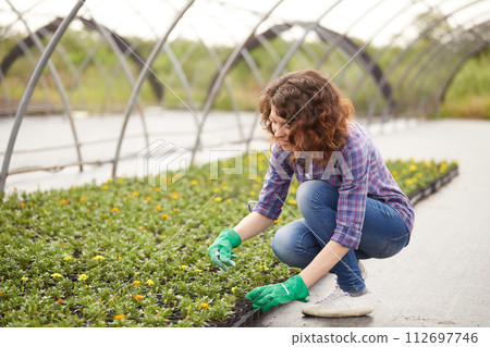 happy female nursery worker trimming plants in greenhouse 112697746