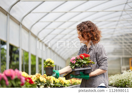 happy female nursery worker trimming plants in greenhouse 112698011