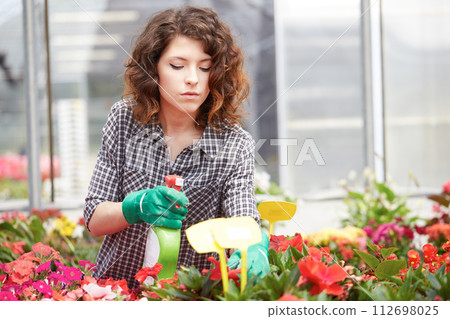 happy female nursery worker trimming plants in greenhouse 112698025