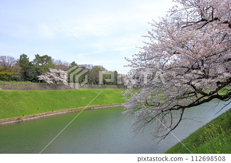 Around the Imperial Palace in spring, Chiyoda Ward, Tokyo Around the Imperial Palace in spring, Chiyoda Ward, Tokyo 112698508