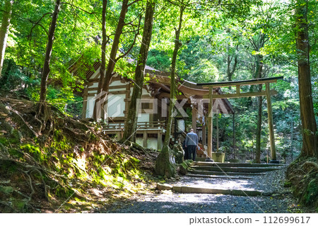 [Tamba Province Ichinomiya] Izumo Daijingu Shrine, fresh greenery and sunlight filtering through the leaves 1 Kameoka City, Kyoto Prefecture 112699617