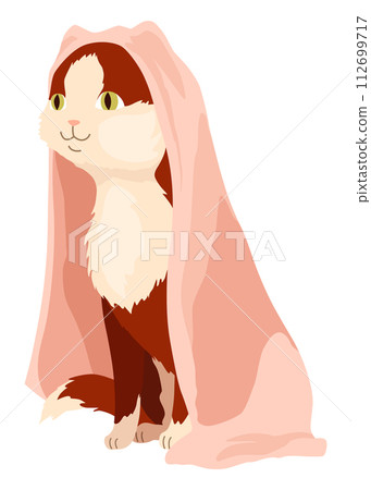 Cat character in blanket. Cartoon drawing of adorable comic domestic animal in warm clothing isolated on white background. Vector illustration 112699717