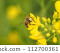 Bee to rape 112700361