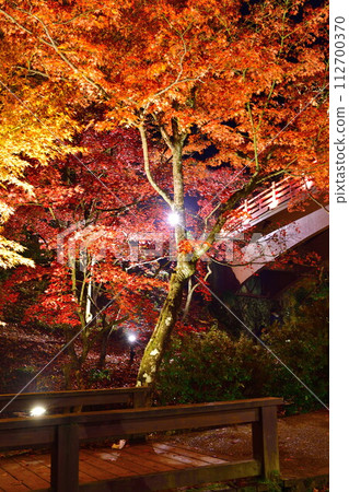 Autumn leaves illumination at Yahiko Momiji Valley (Niigata Prefecture) Autumn leaves illumination at Yahiko Momiji Valley (Niigata Prefecture) 112700370