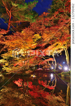 Autumn leaves illumination at Yahiko Momiji Valley (Niigata Prefecture) Autumn leaves illumination at Yahiko Momiji Valley (Niigata Prefecture) 112700462