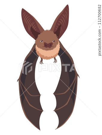 Bat. Concept cartoon bat. Vector clipart illustration isolated on white background 112700682