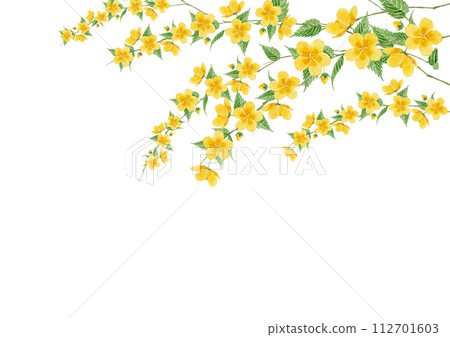 Yamabuki 花水彩插圖背景框架 112701603