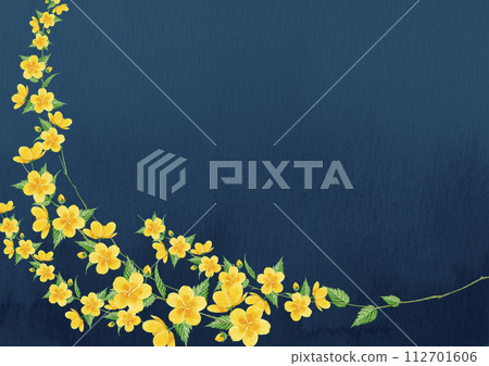 Yamabuki 花水彩插圖背景框架 112701606