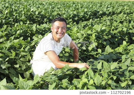 A young edamame farmer working on the farm A young edamame farmer working on the farm 112702196