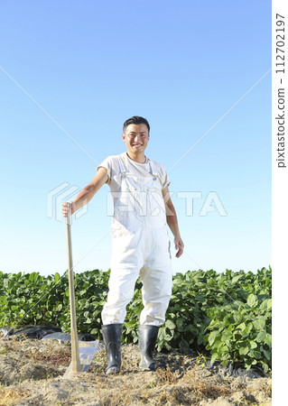 Young edamame farmers working under the blue sky Young edamame farmers working under the blue sky 112702197