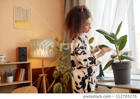 Side view portrait of Black young woman taking care of potted tropical houseplant in cozy home copy space Side view portrait of Black young woman taking care of potted tropical houseplant in cozy home copy space 112703270