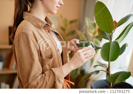 Side view cropped shot of young woman taking care of potted tropical houseplant in cozy home and wiping green leaves copy space Side view cropped shot of young woman taking care of potted tropical houseplant in cozy home and wiping green leaves copy space 112703275
