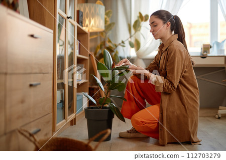Full length side view portrait of young woman taking care of potted green houseplants while cleaning cozy home copy space 112703279