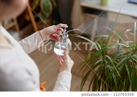 Close up of young woman misting green houseplants at home and holding tiny glass watering spray bottle copy space 112703350