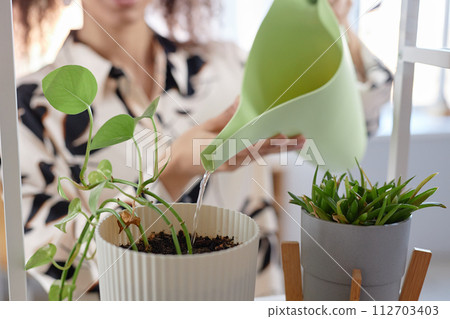 Close up of young woman watering green plant at home with plastic watering can copy space 112703403