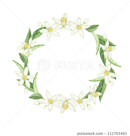 Flower citrus watercolor illustration wreath frame 112703483