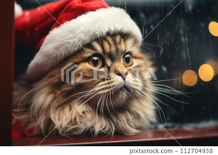 Cute cat in a Santa Claus costume Christmas blurred bokeh lights. Generative AI Cute cat in a Santa Claus costume Christmas blurred bokeh lights. Generative AI 112704938