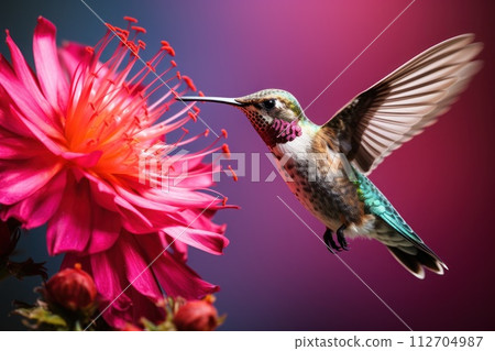 Hummingbird hovering next to flowers. Generative AI Hummingbird hovering next to flowers. Generative AI 112704987