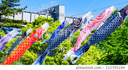 Carp streamers, blue sky and fresh green [Image of May] 112705284