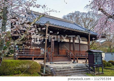 京都醍醐寺雲院的春天景色 112705394