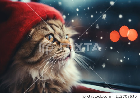 Cute cat in a Santa Claus costume Christmas blurred bokeh lights. Generative AI Cute cat in a Santa Claus costume Christmas blurred bokeh lights. Generative AI 112705639