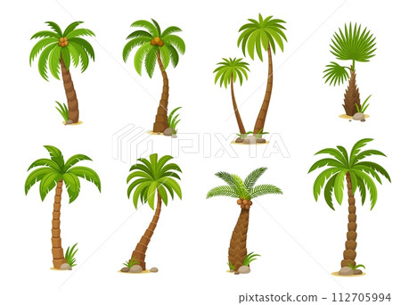 Cartoon jungle coconut palm trees. Vivid vector set featuring isolated jungle plants with lush fronds, capturing the essence of tropical beauty. Vibrant exotic flora, 2d game assets or gui elements Cartoon jungle coconut palm trees. Vivid vector set featuring isolated jungle plants with lush fronds, capturing the essence of tropical beauty. Vibrant exotic flora, 2d game assets or gui elements 112705994