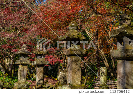 Autumn leaves at the ruins of Doryuji Temple (Kimotsuki-cho, Kimotsuki-gun) Autumn leaves at the ruins of Doryuji Temple (Kimotsuki-cho, Kimotsuki-gun) 112706412