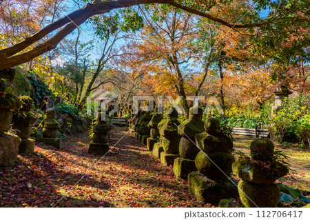 道龍寺遺址的秋葉(喜茂月郡喜茂月町) 道龍寺遺址的秋葉(喜茂月郡喜茂月町) 112706417