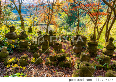 Autumn leaves at the ruins of Doryuji Temple (Kimotsuki-cho, Kimotsuki-gun) 112706427