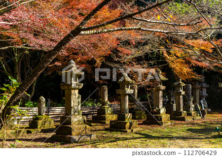 道龍寺遺址的秋葉（喜茂月郡喜茂月町） 112706429