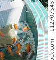 Summer fish bowl 112707545