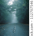 Road in fog 112707546