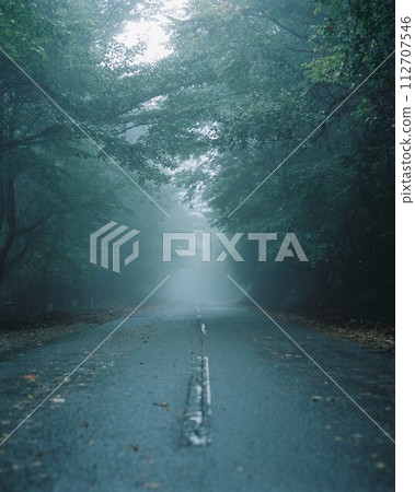 Road in fog 112707546