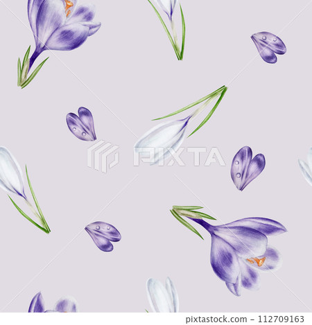 Watercolor seamless pattern with purple and white blooming crocus flower isolated on background. Spring and easter botanical hand painted saffron illustration. For designers, wedding, decoration, Watercolor seamless pattern with purple and white blooming crocus flower isolated on background. Spring and easter botanical hand painted saffron illustration. For designers, wedding, decoration, 112709163