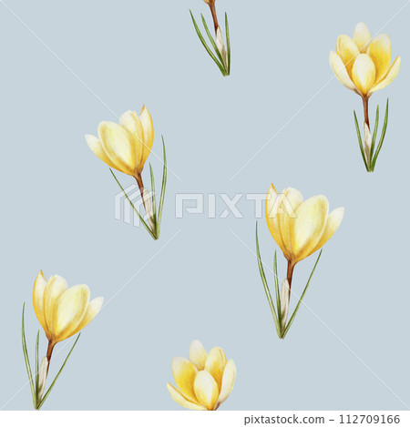 Watercolor seamless pattern with yellow blooming crocus flowers isolated on background. Spring and easter botanical hand painted saffron illustration. For designers, wedding, decoration, postcards, Watercolor seamless pattern with yellow blooming crocus flowers isolated on background. Spring and easter botanical hand painted saffron illustration. For designers, wedding, decoration, postcards, 112709166