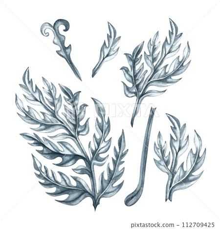 Watercolor abstract gray monochrome plant pattern and drawing of branch with leaves for borders, frames, background, textiles, fabrics, cards, souvenirs, packaging, scrapbooking, invitations, greeting 112709425