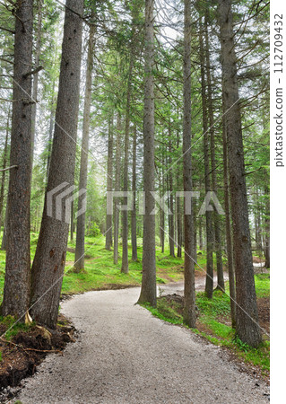 trail around Lago di Dobbiaco trail around Lago di Dobbiaco 112709432