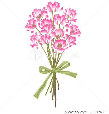 Bouquet of astragalus tied with raffia, watercolor touch illustration Bouquet of astragalus tied with raffia, watercolor touch illustration 112709719