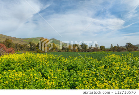 autumn landscape on the Golan Heights in Israel 112710570